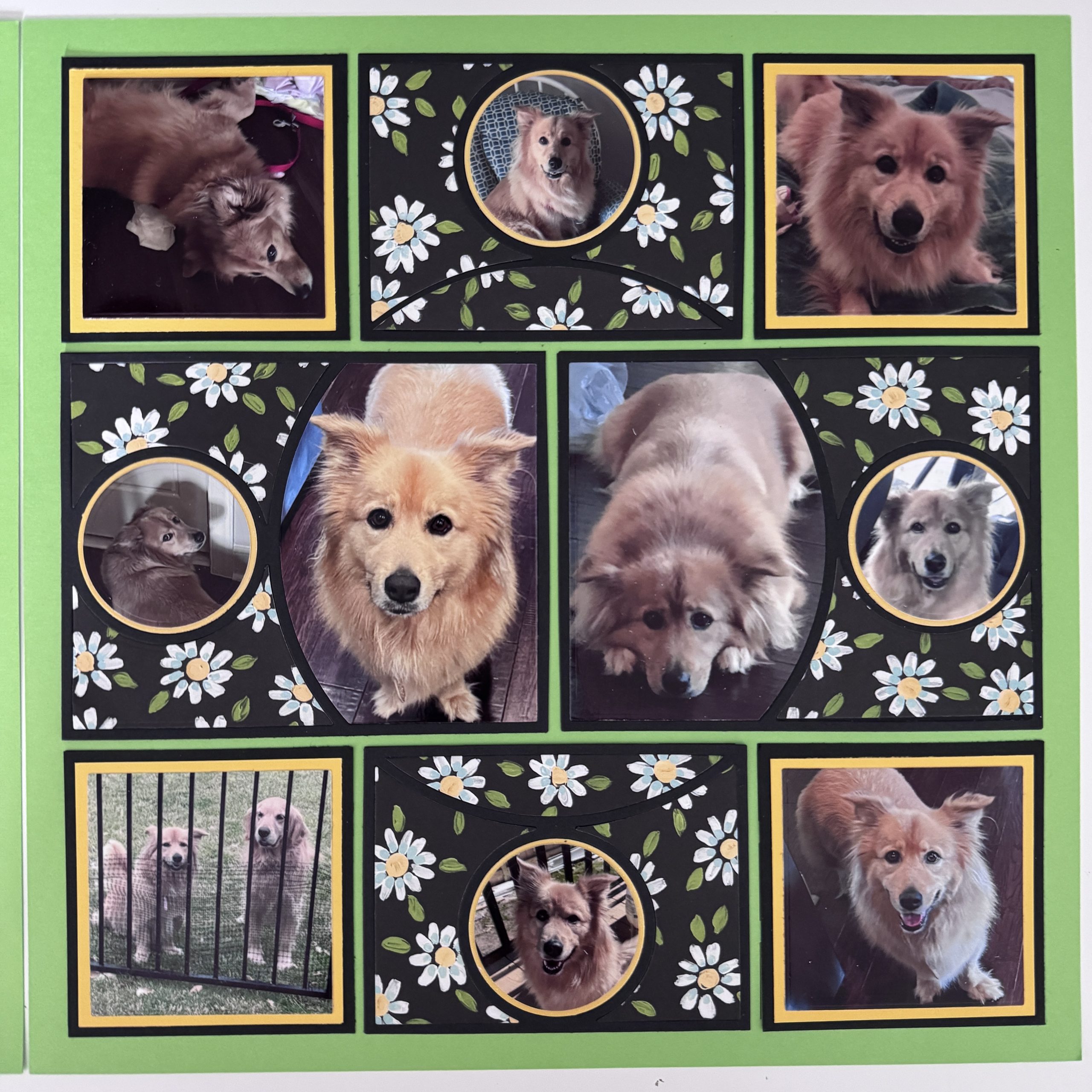 Dog scrapbook layout created with the Around and Around Die Set